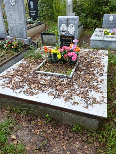 Кокорина Анастасия Борисовна