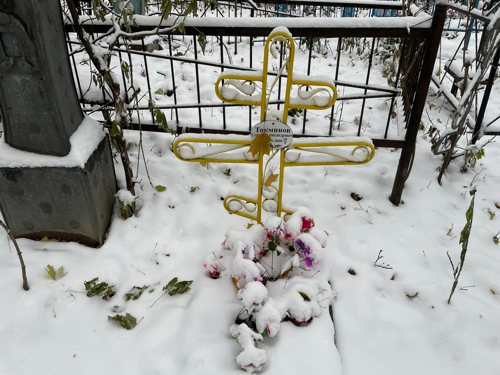 Токминов Сергей Александрович