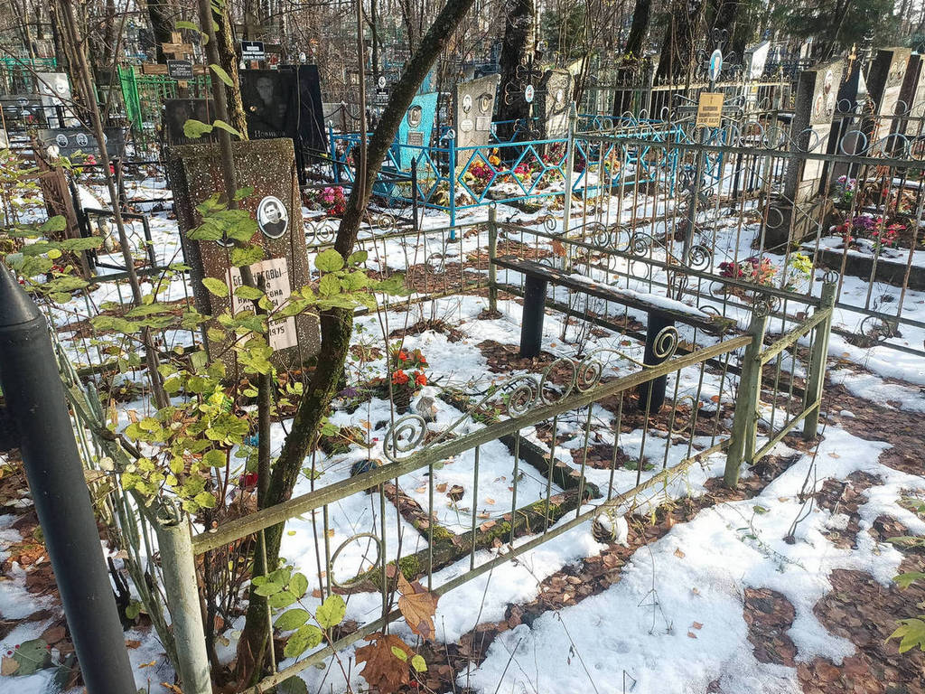 Бедоногова Дарья Николаевна