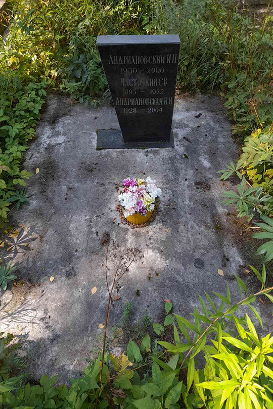 Андриановский И. Н.