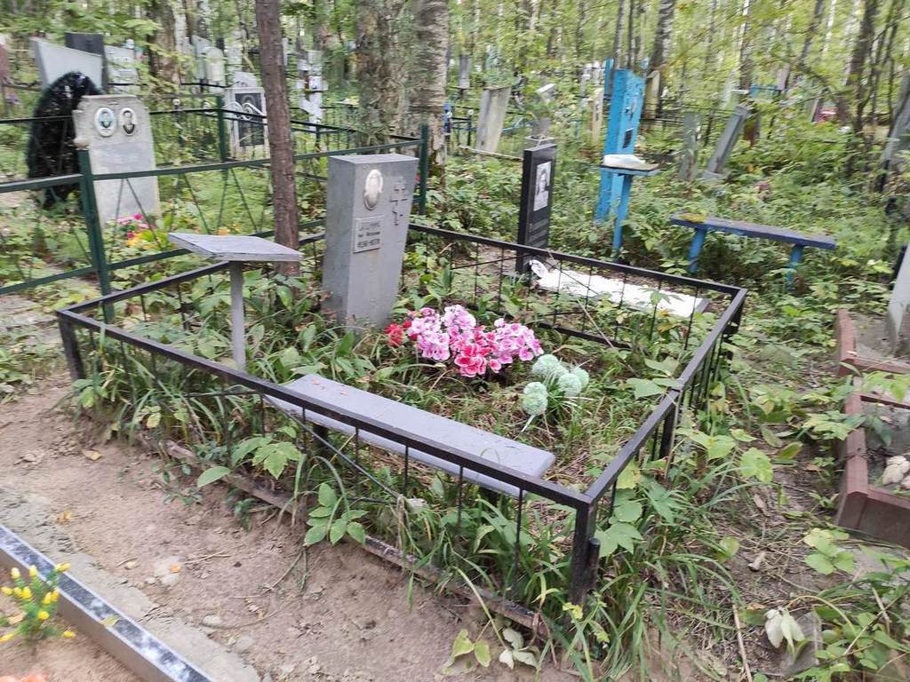 Сатонина Анна Флегонтовна