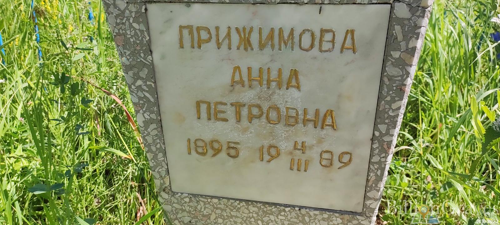Прижимова Анна Петровна