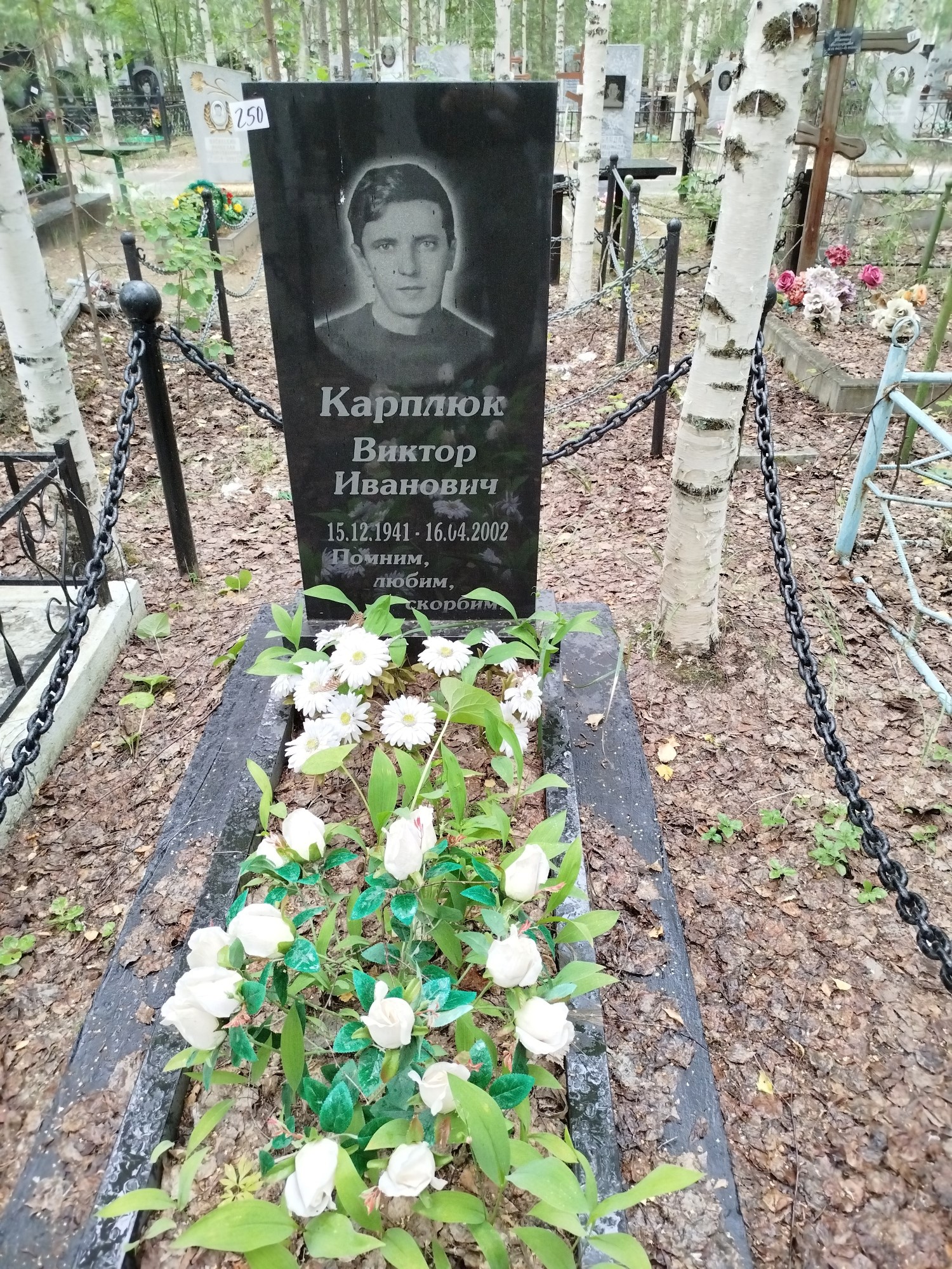Карплюк Виктор Иванович