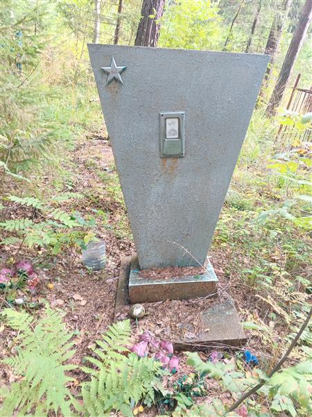 Полуесов Николай Петрович