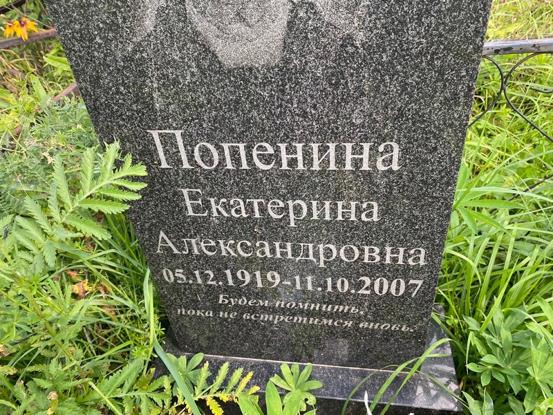 Попенина