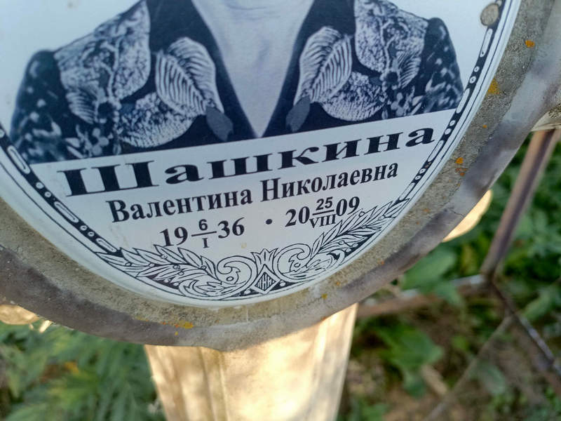 Шашкина