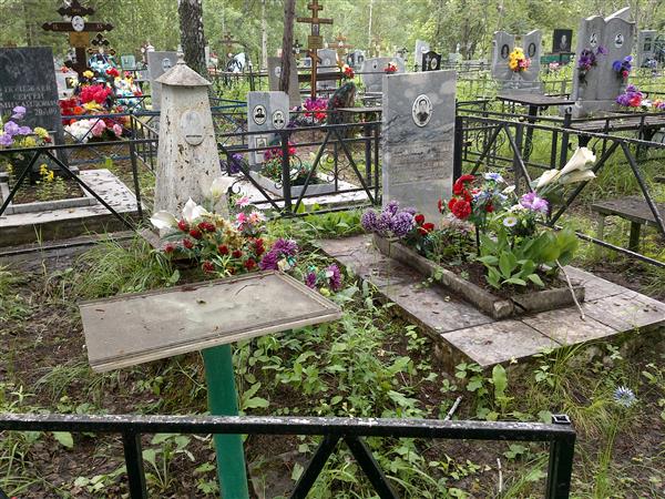 Мохнаткин Владимир Алексеевич