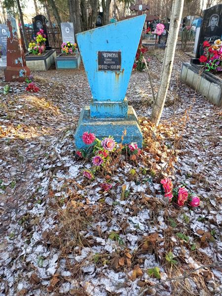 Чернова Софья Андреевна