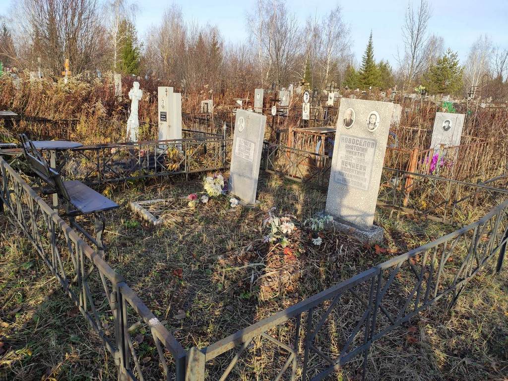Новоселов Анатолий Никитич