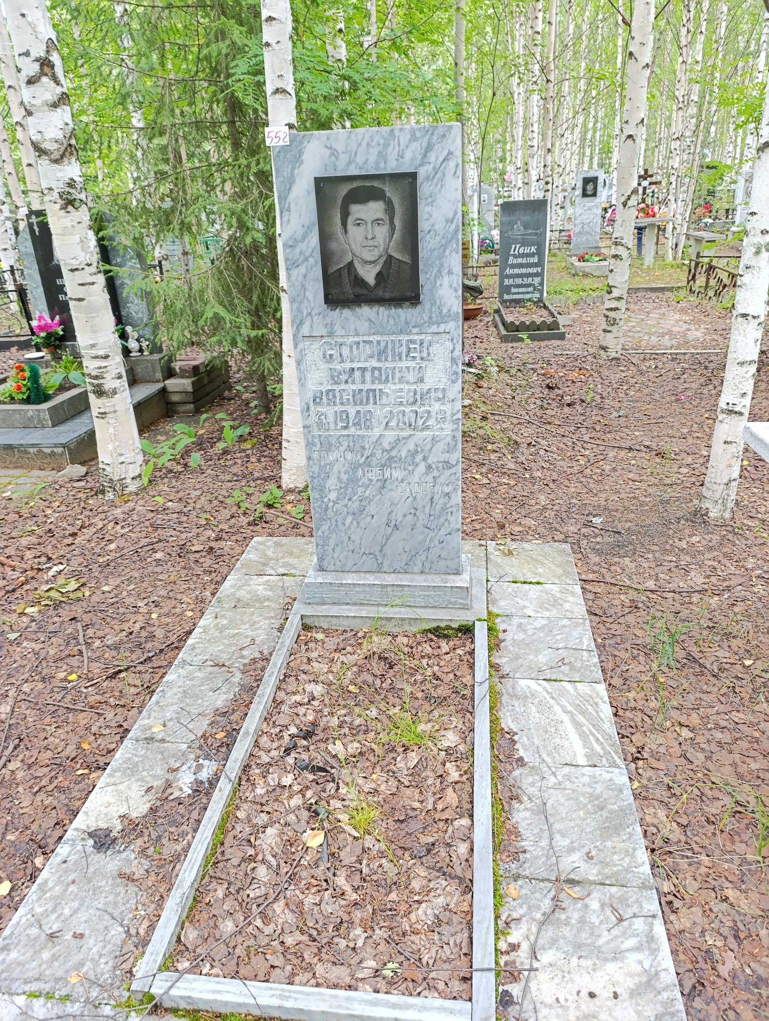 Старинец Виталий Васильевич