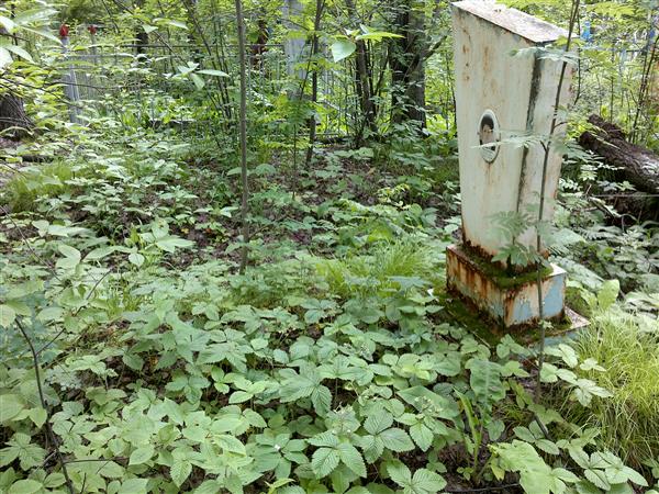 Ризванова Гальминиса Кинжбулатовна