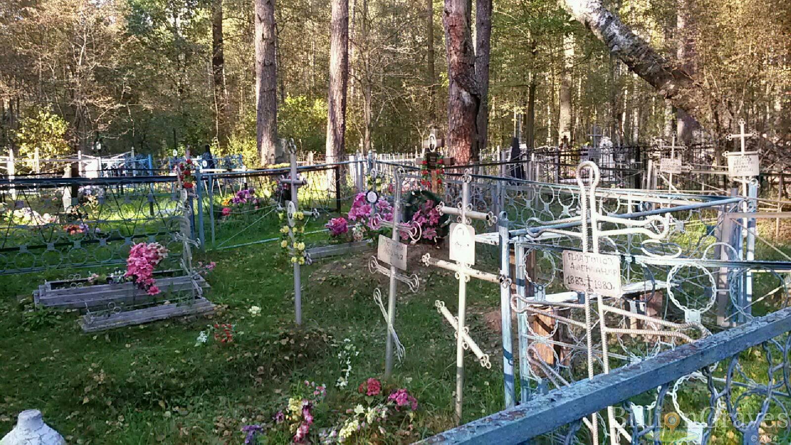Зотова Анна Александровна