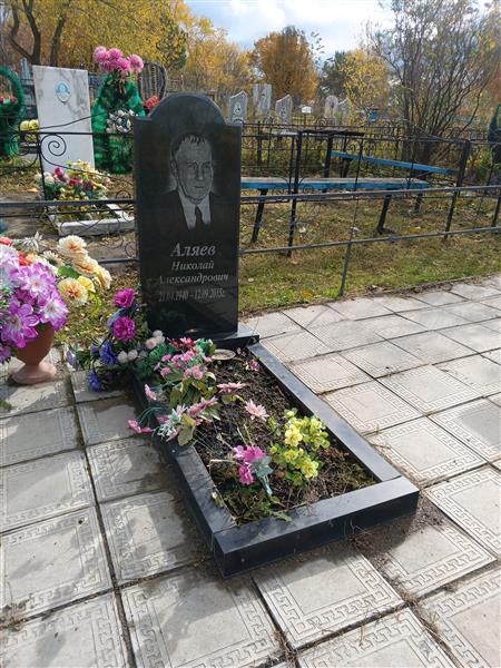 Аляев Николай Александрович