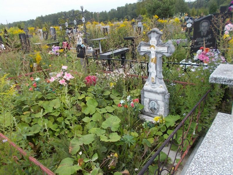 Лаптева Ксения Ивановна