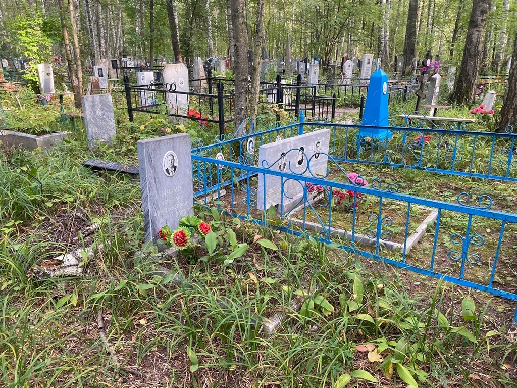 Мухин Вячеслав Александрович