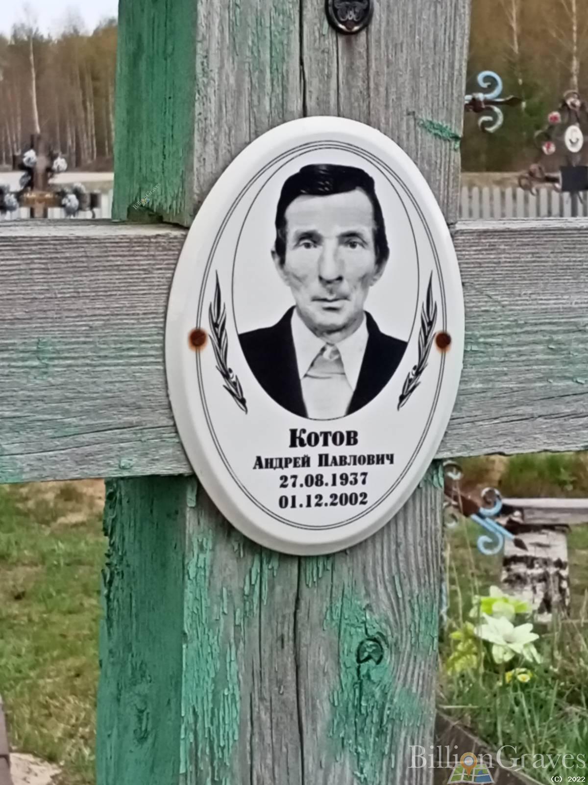 Котов Андрей Петрович