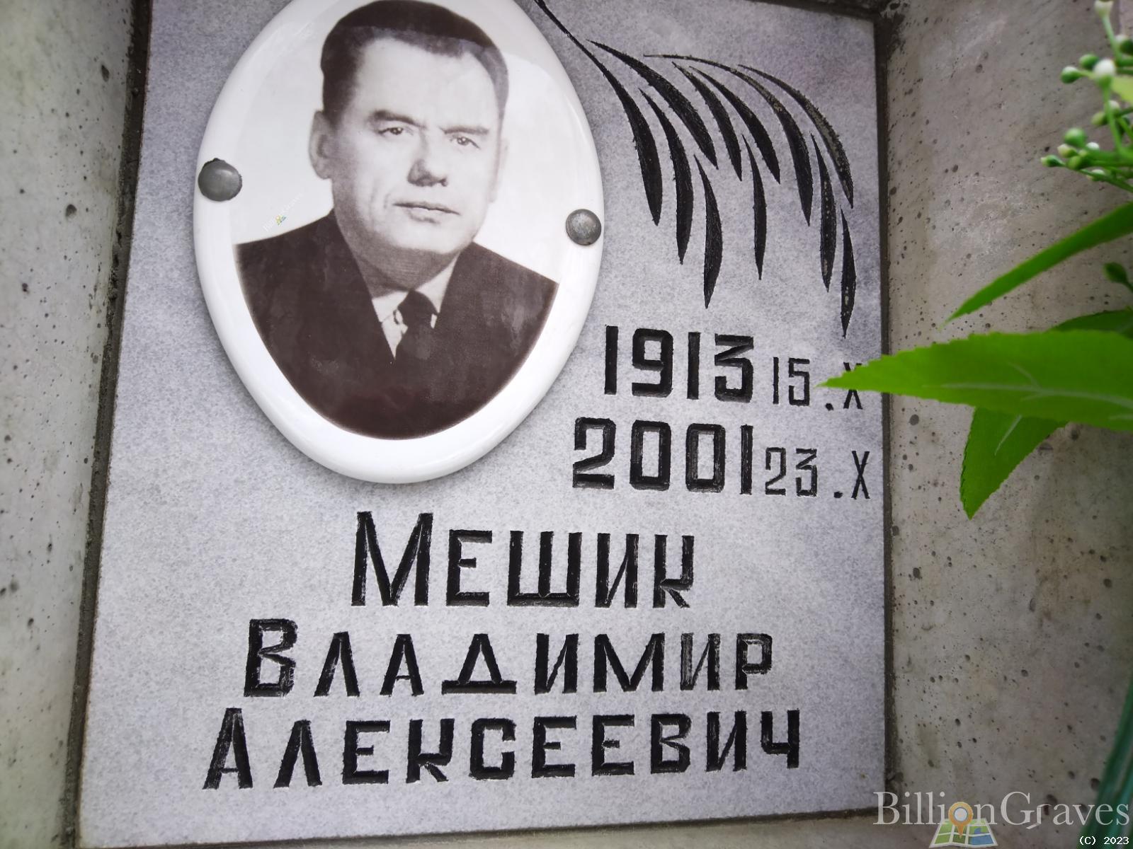 Мешик Владимир Алексеевич