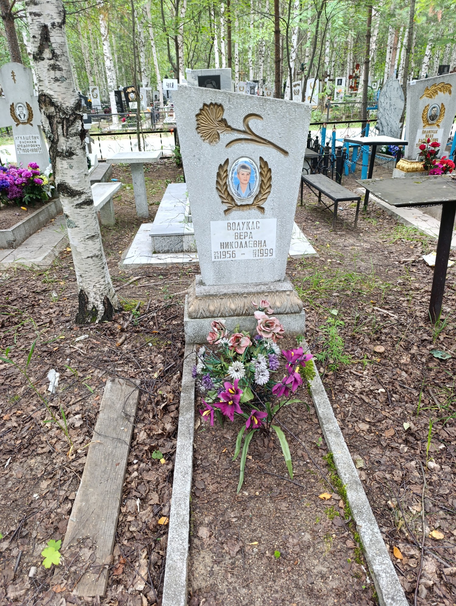 Волукас Вера Николаевна