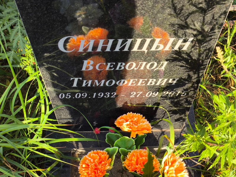 Всеволод Синицын Тимофеевич