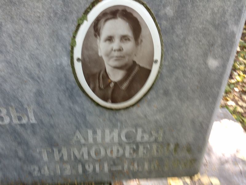 Анисия Никифорова Тимофеевна