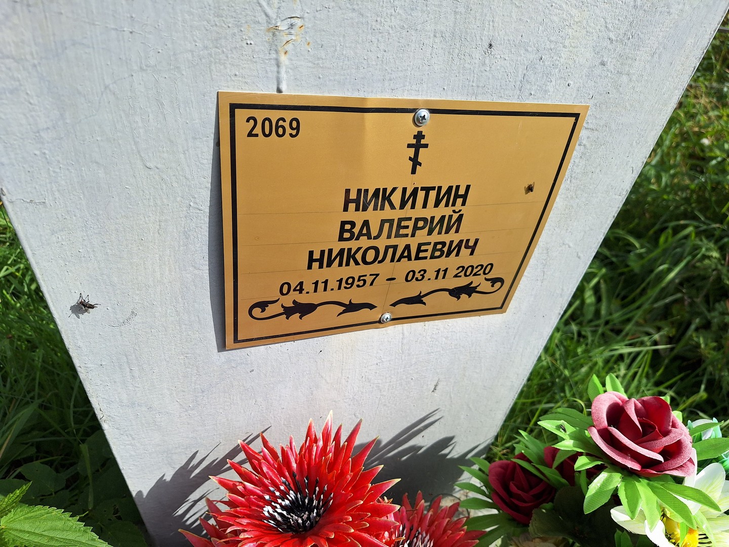 Никитин