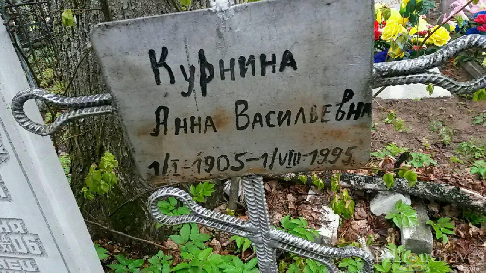 курнина анна васильевна