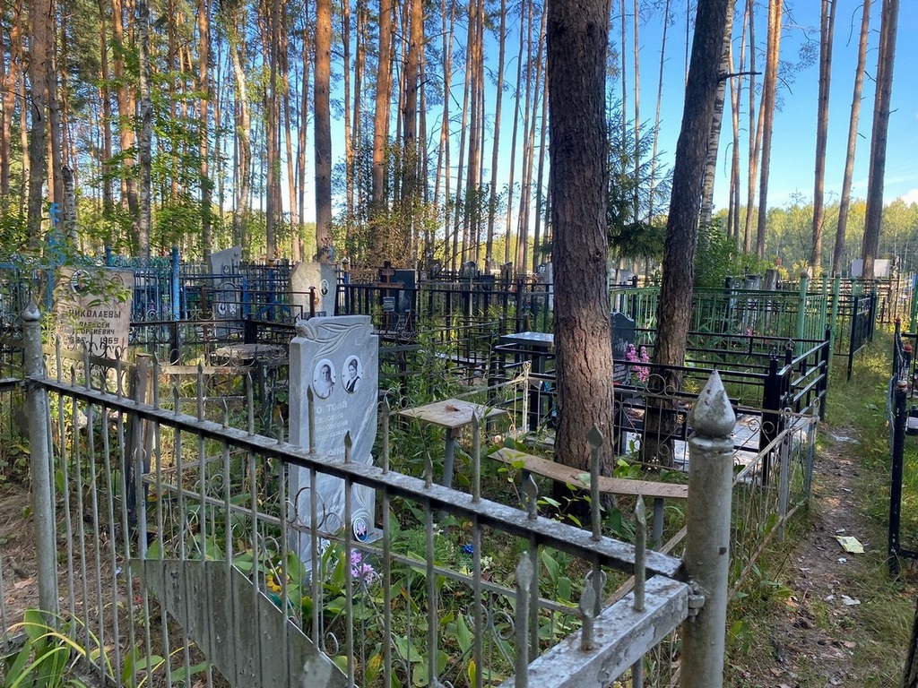 Робкина Татьяна Ивановна