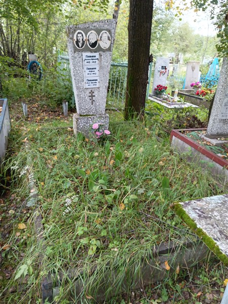 Паньшин Андрюша