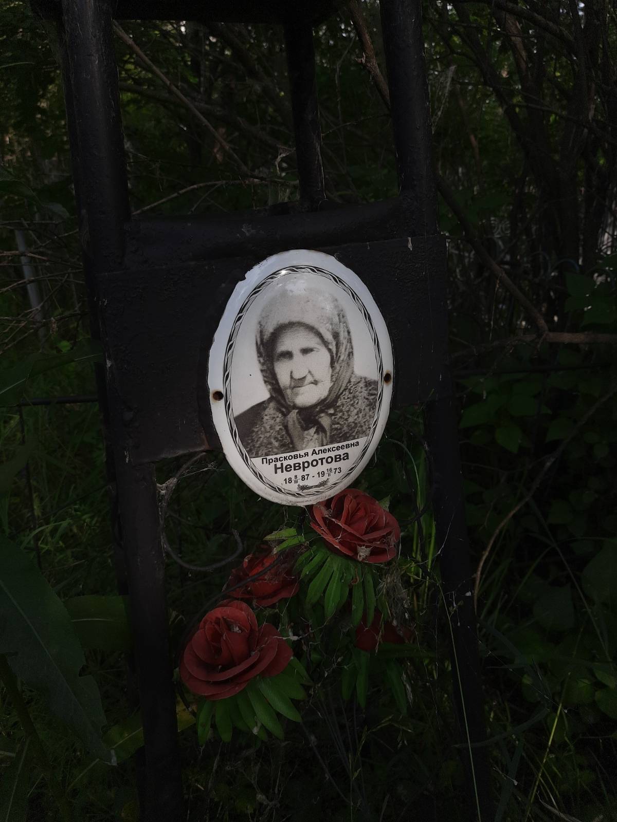 Невротова Прасковья Алексеевна