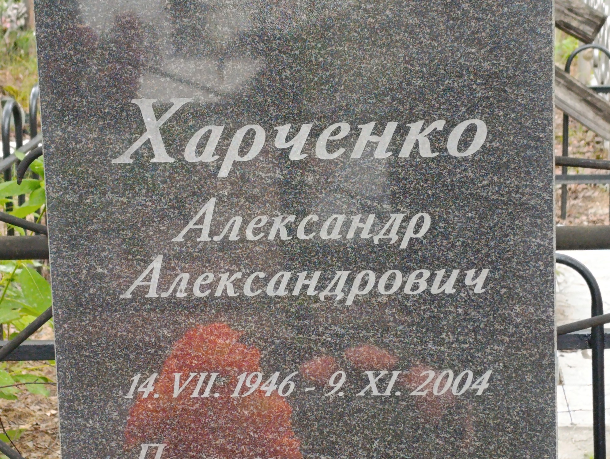 Харченко Александр Александрович