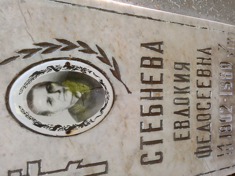 Стебнева