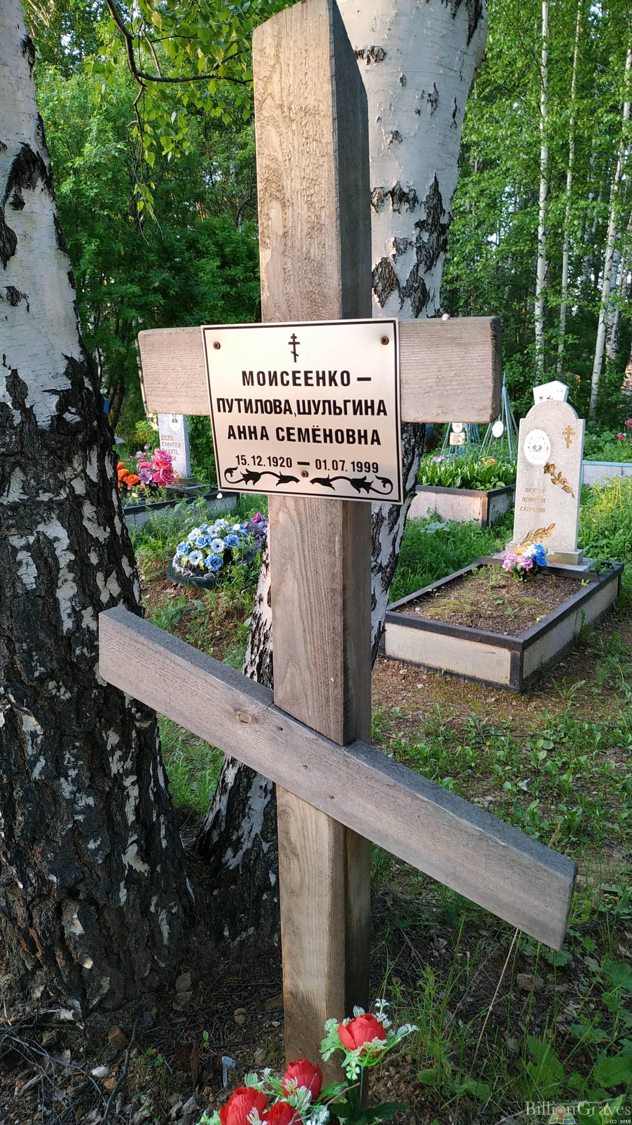Шульгин Петр Иванович