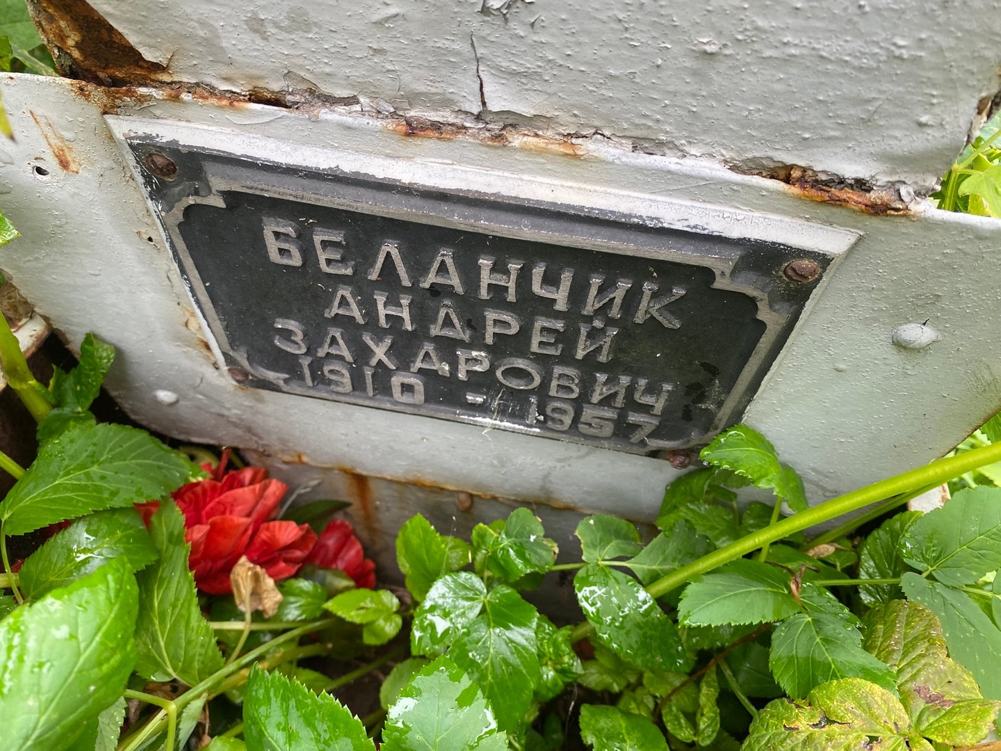 Беланчик