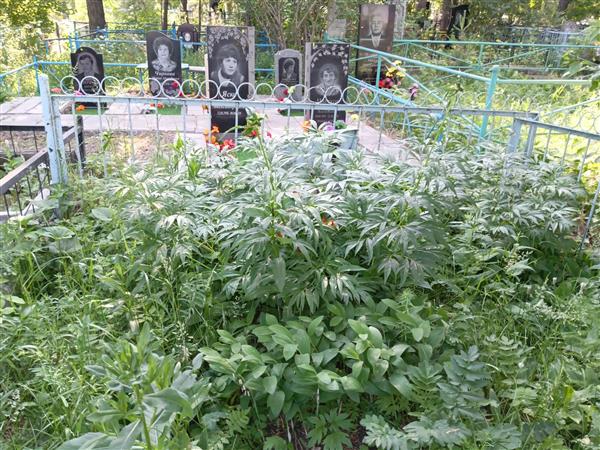 Лавриненко Владимир Алексеевич