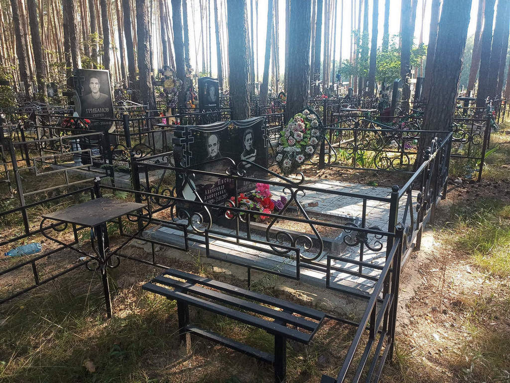 Писаревский Александр Алексеевич