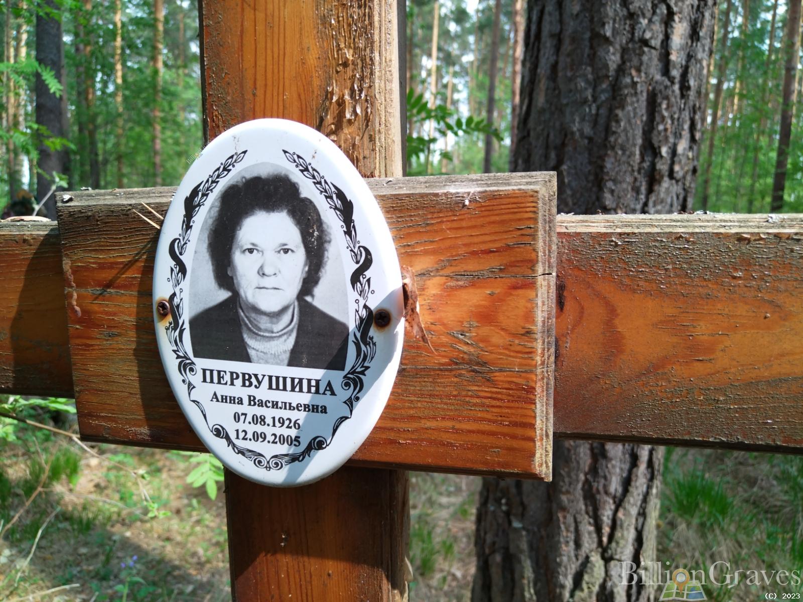 Первушина Анна Васильевна