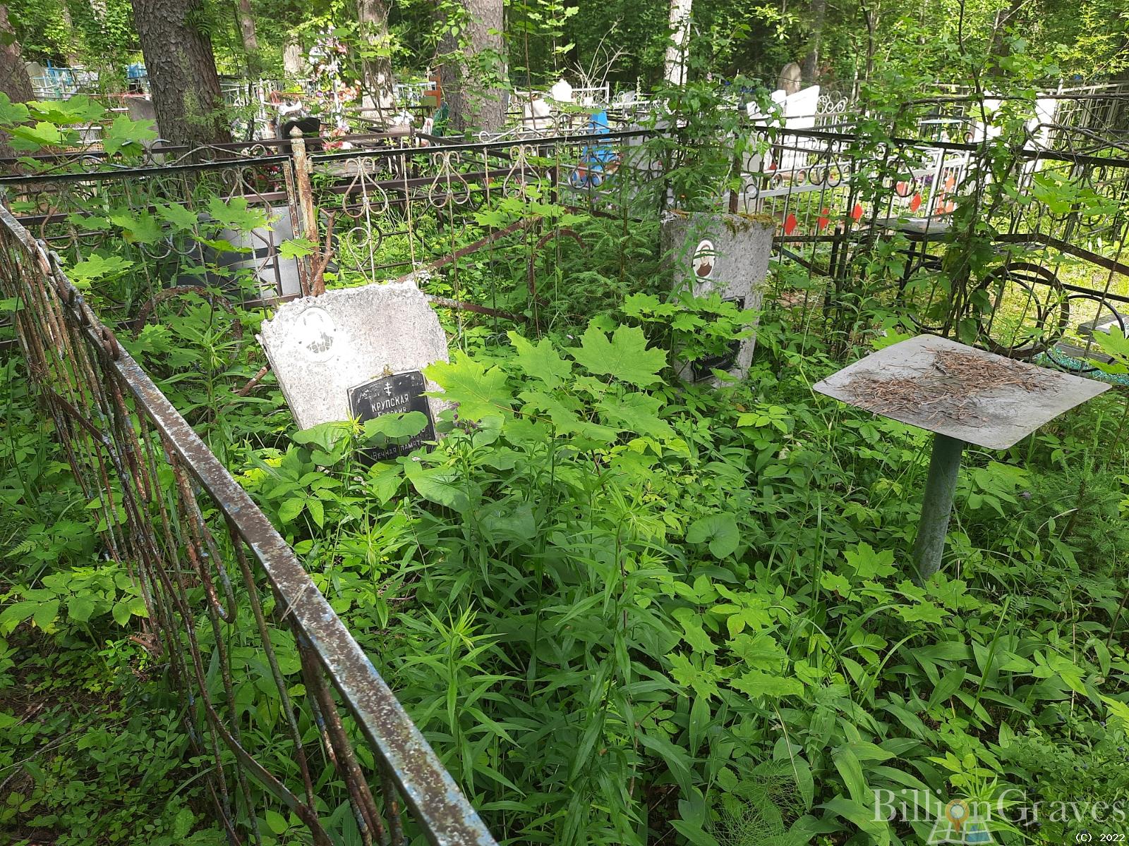 Крупский Владимир Дмитриевич