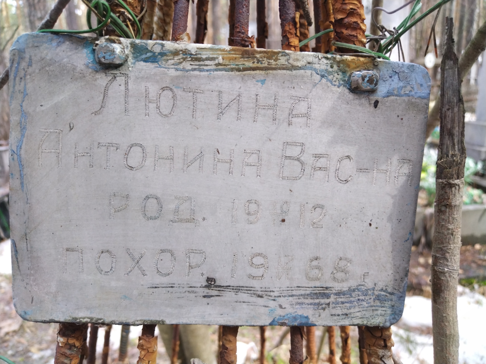 Лютина Антонина Васильевна