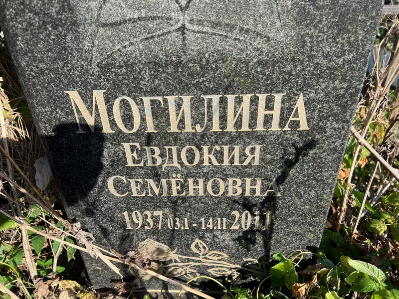 Могилина
