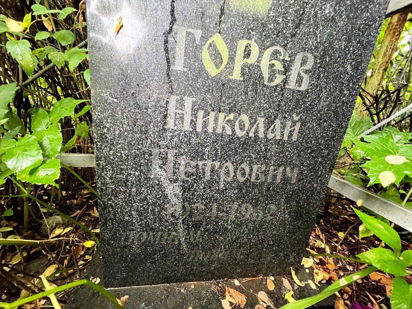 Горев