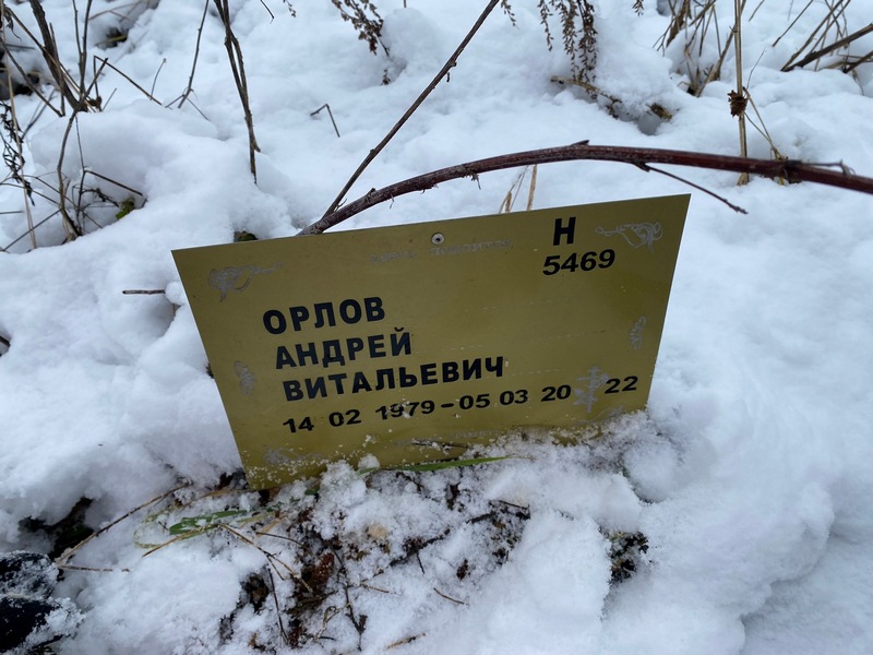 Орлов