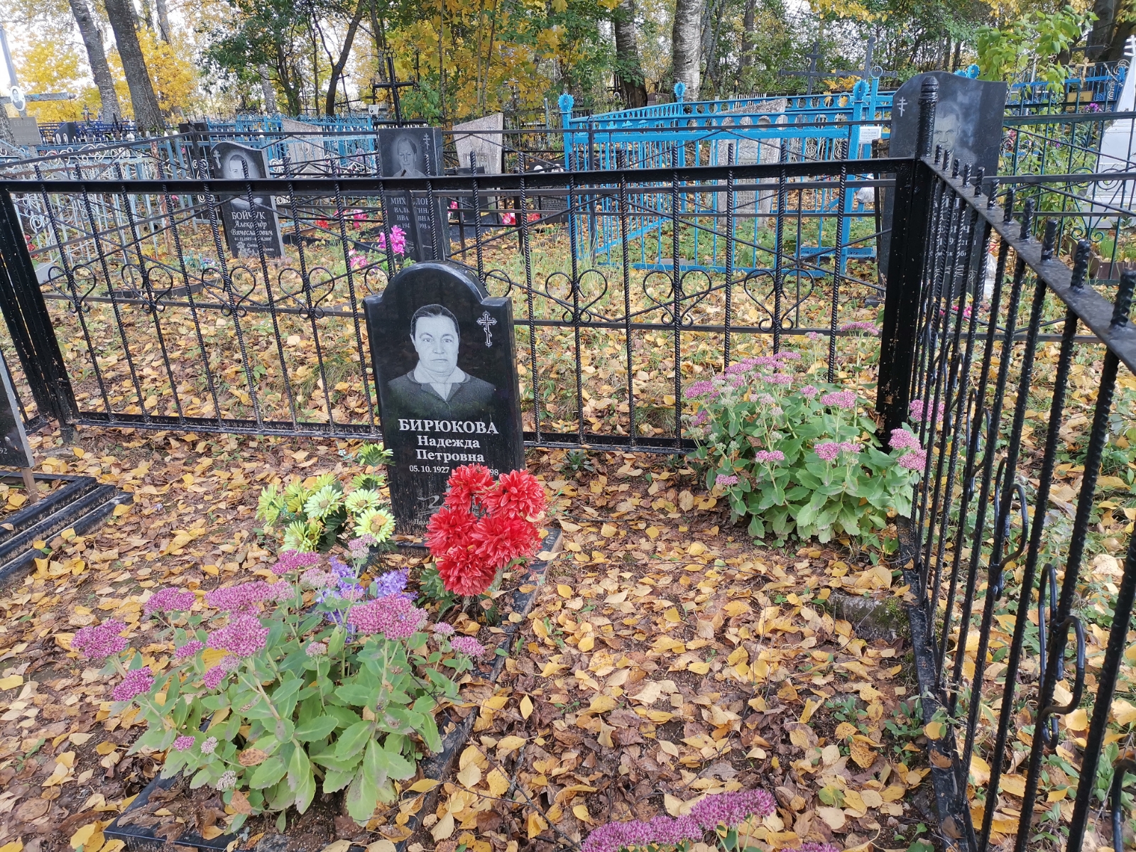 Бирюкова Надежда Петровна