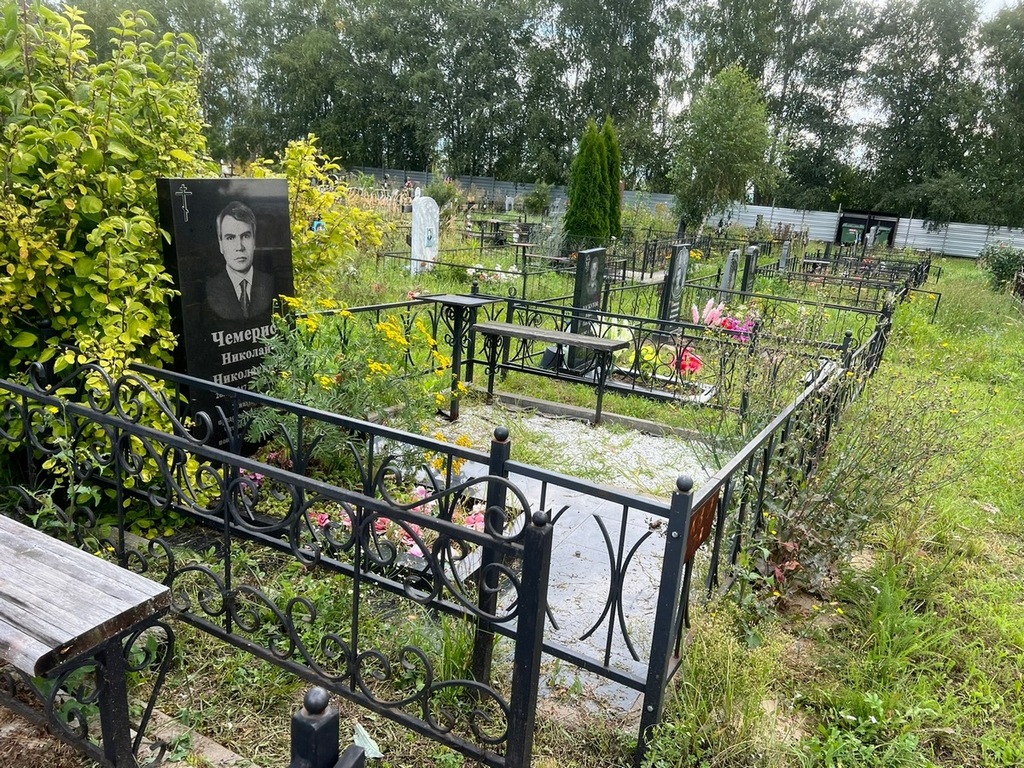 Чемерис Николай Николаевич