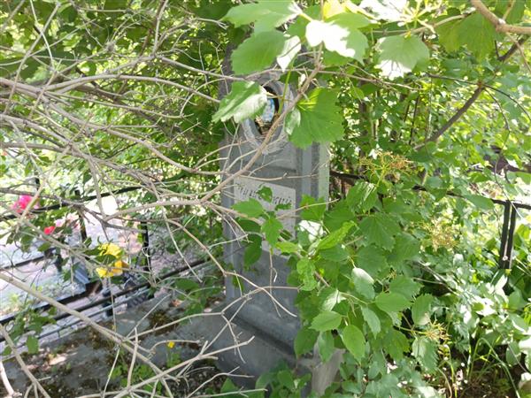 Чугуевский Анатолий Михайлович