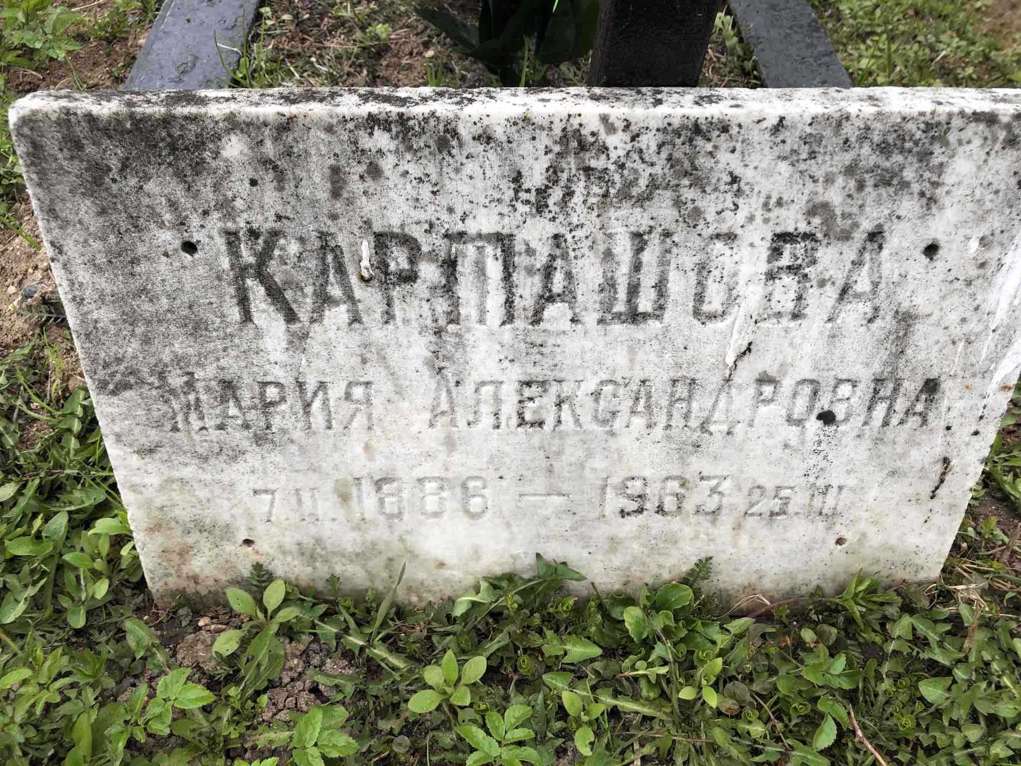 Карташова Мария Александровна