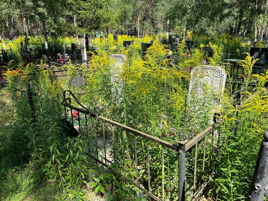 Болдина Александра Алексеевна