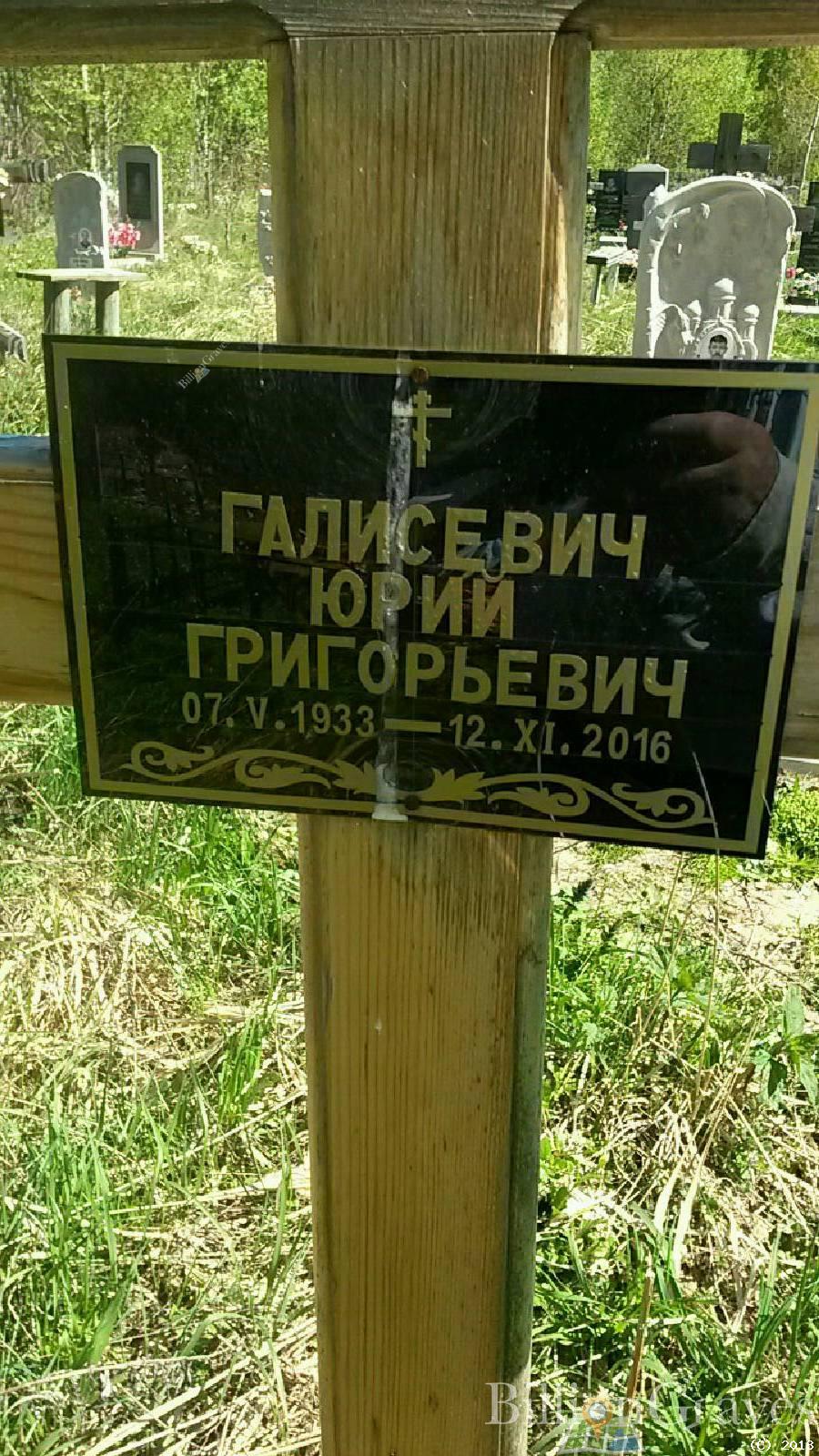 Галисевич Юрий Григорьевич