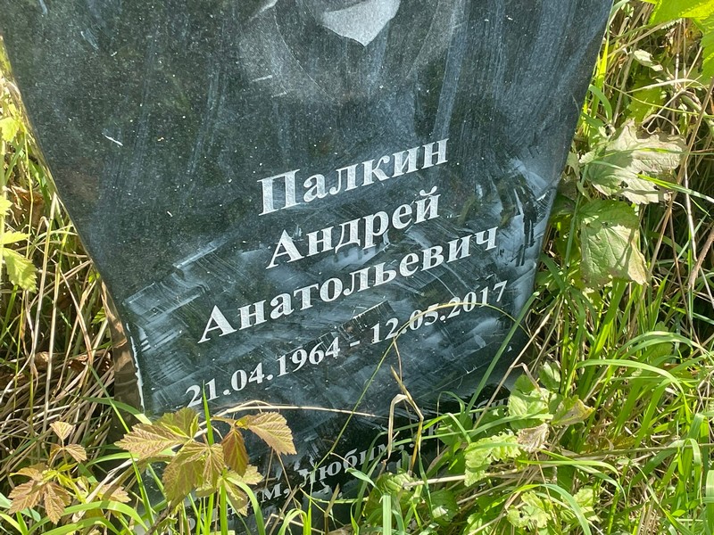 Палкин