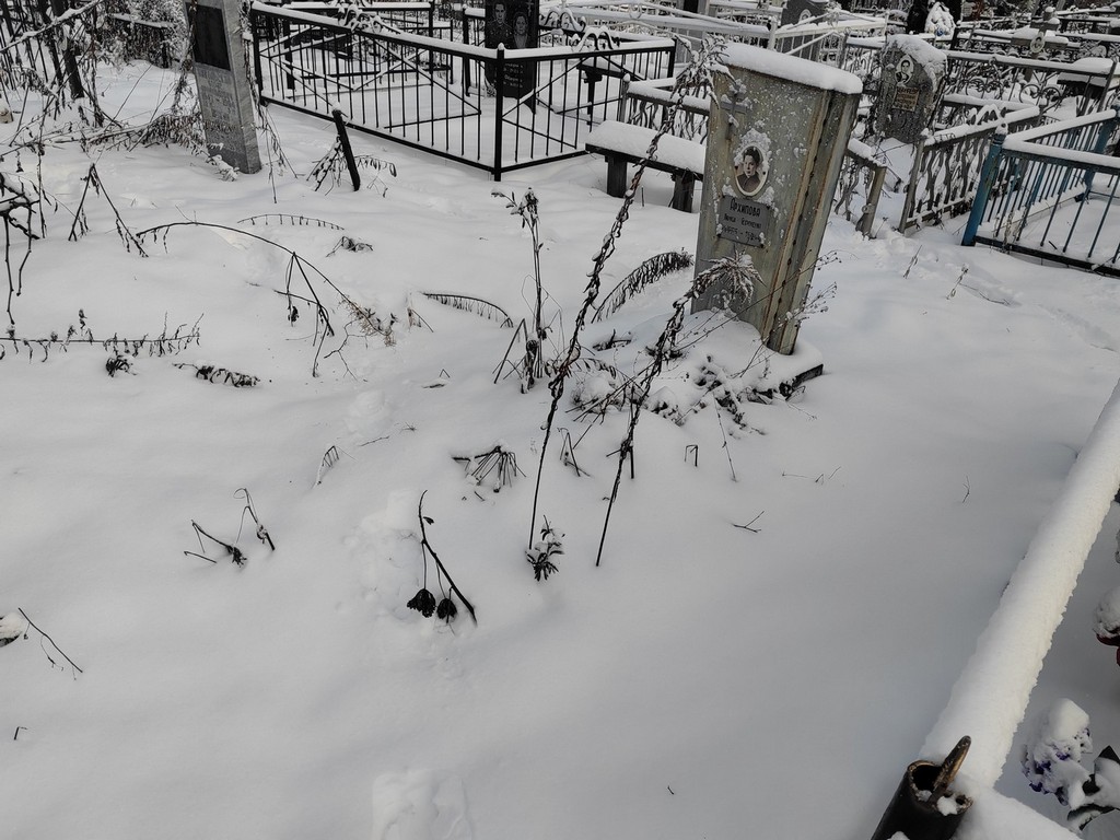 Архипова Лариса Георгиевна