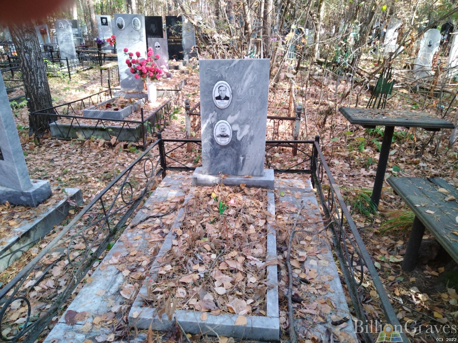 Мошкин Анатолий Иванович